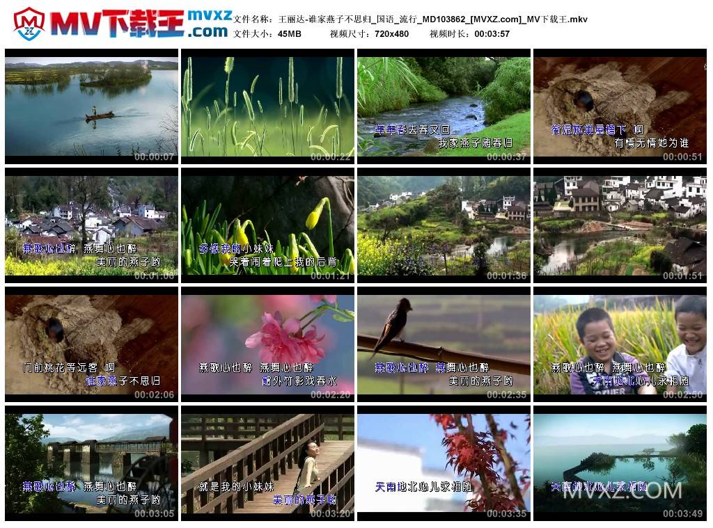 王丽达-谁家燕子不思归_国语_流行_MD103862